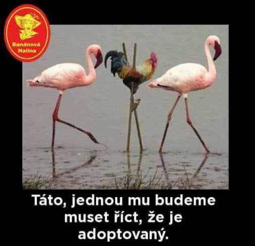 jednou mu budeme muset