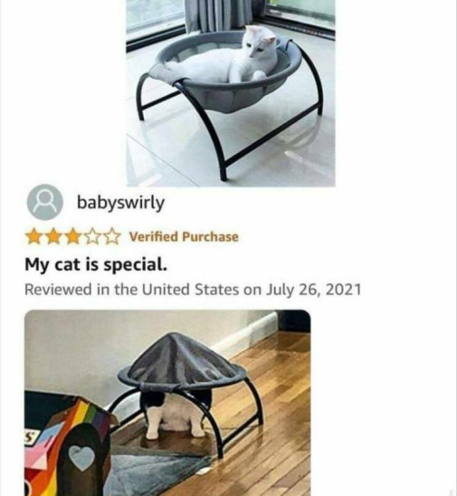 my cat is special