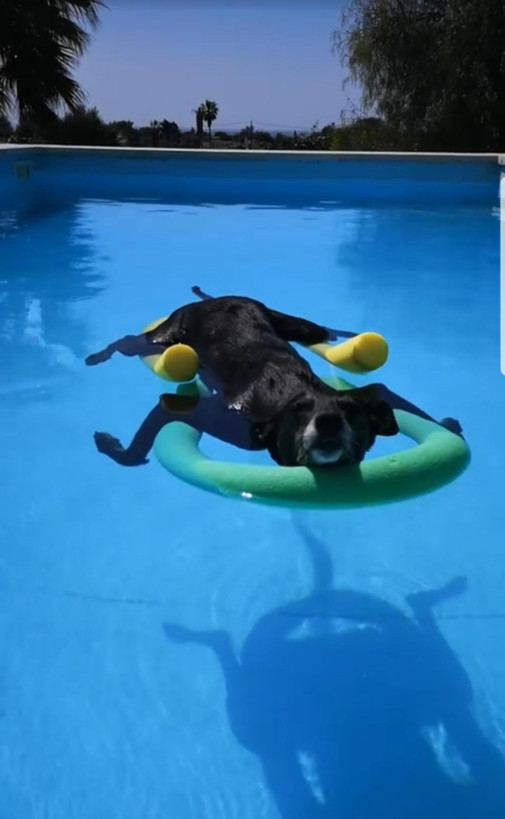 relax