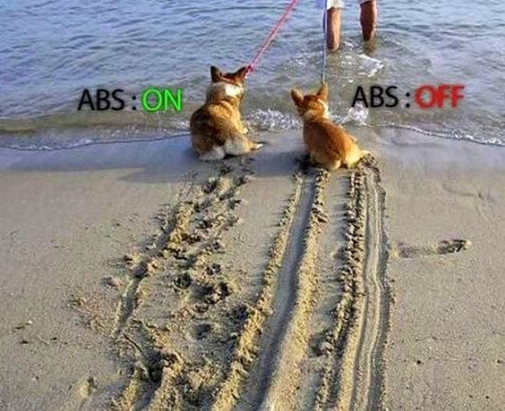 abs