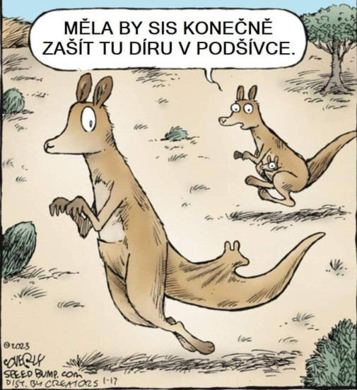 měla by sis