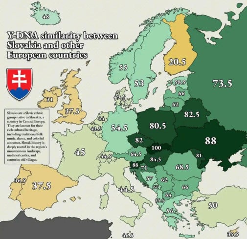 madari su 84% slovaci