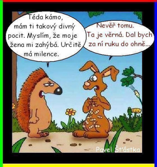 teda kámo