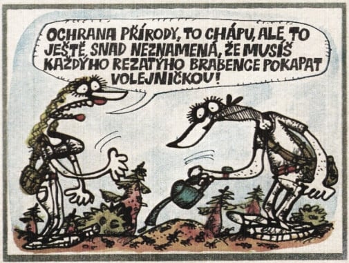 rezatého
