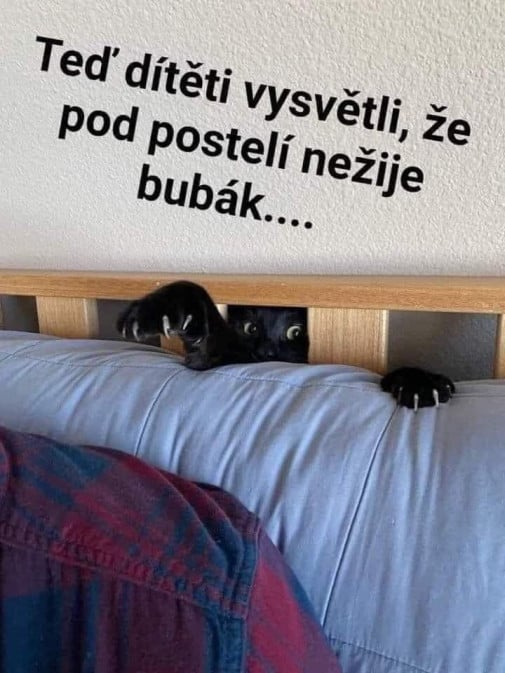 bubák