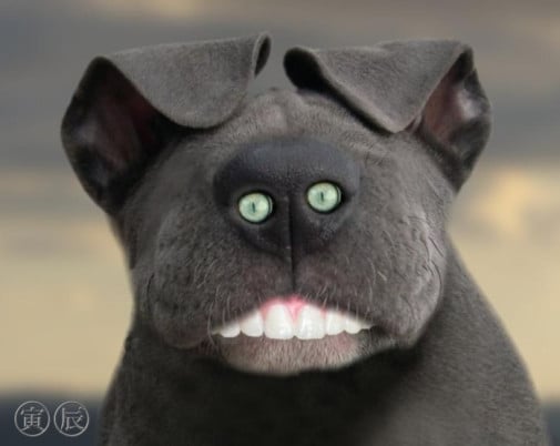 mutant
