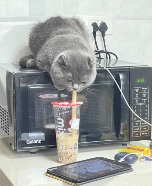 sŕ
