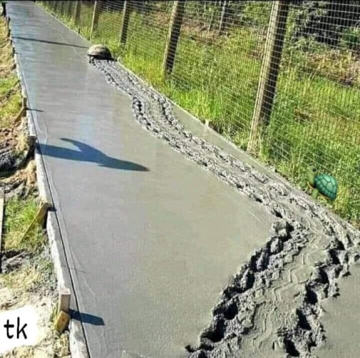 ale no tak