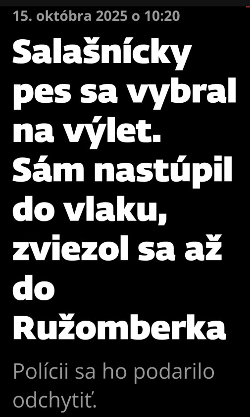 Salase vo Velkej Fatre