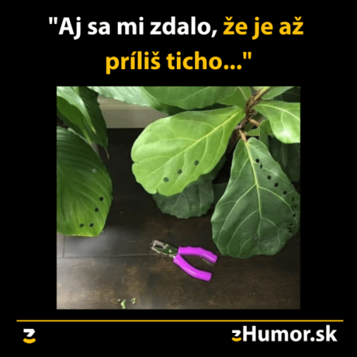 aj sa mi zdalo