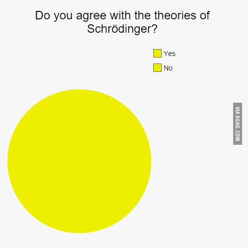 Súhlasíte so Schrödingerovou teóriou?