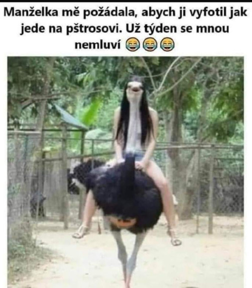 optický klam: manželka