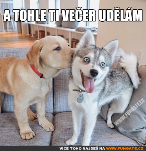 a tohle