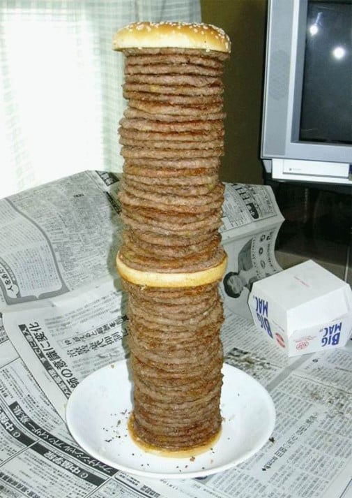 pre mäsožravcov