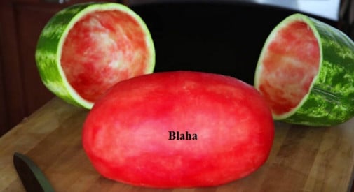blaha