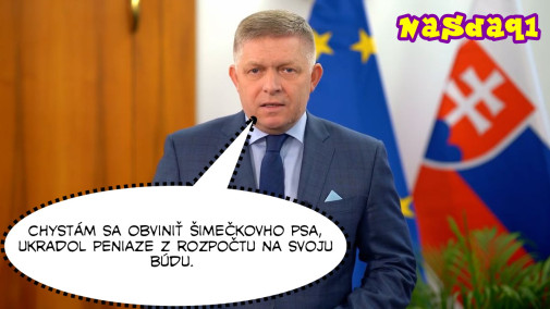 Príspevok 230584