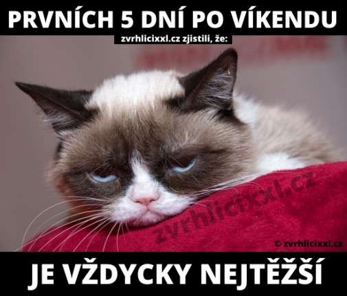 prvních