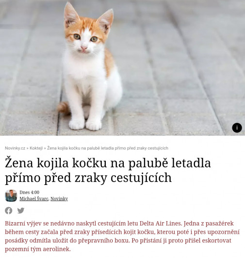 žena kojila