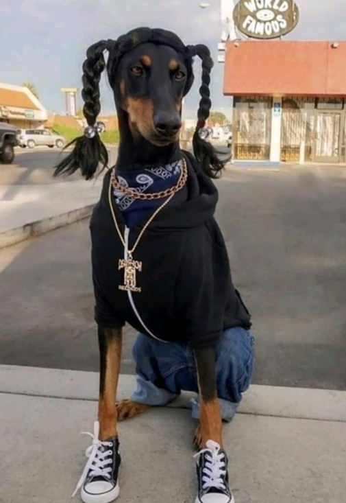 halloween vrkoče