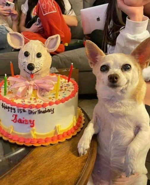 daisy, 15