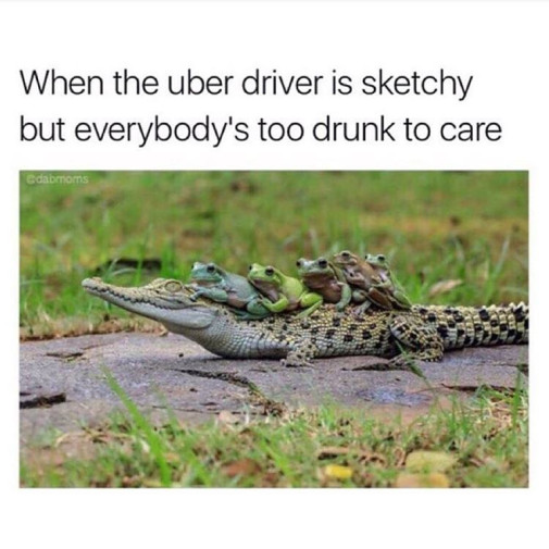 žaby používajúce Uber