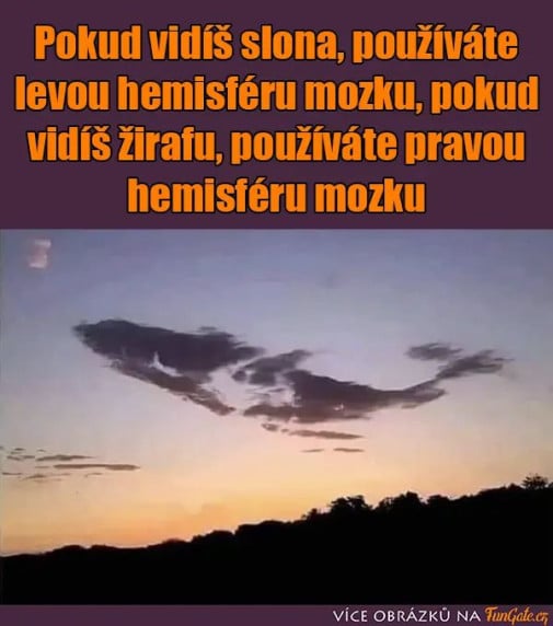 pokud vidíš slona