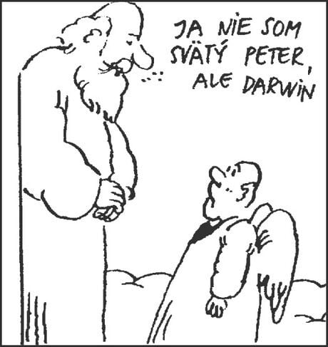 ja nie som