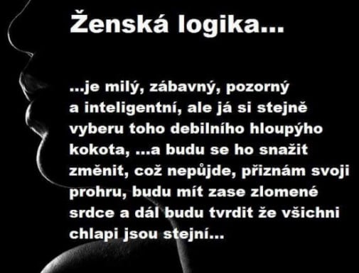 ženská logika