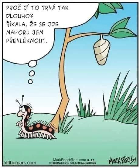 proč jí to trvá