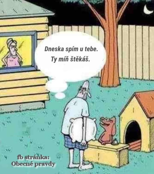 dneska spím