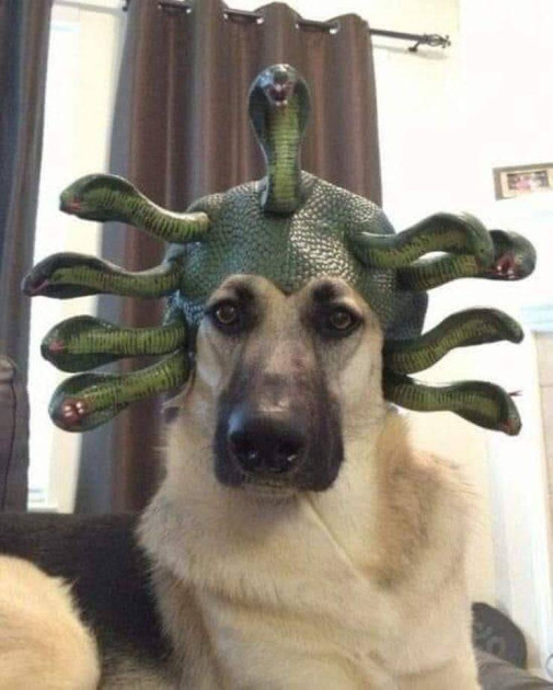 ssss