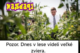 Príspevok 221248