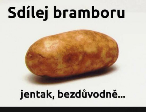 sdílej