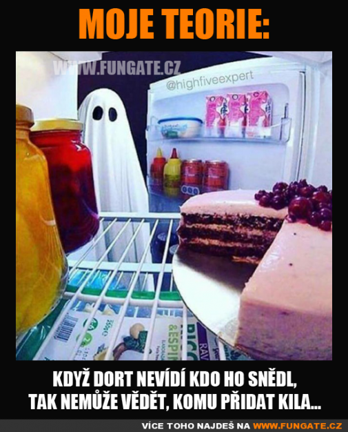 moje teorie