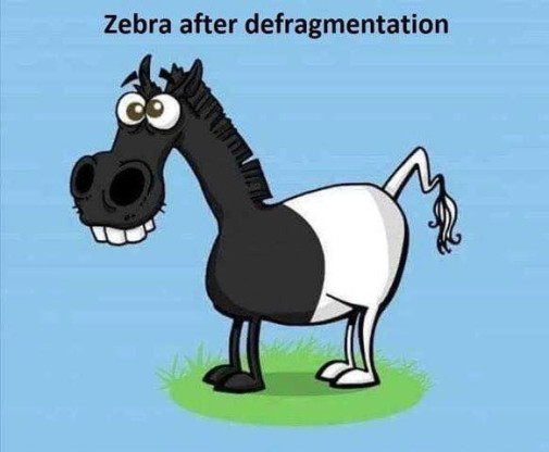 defragmentovaná zebra