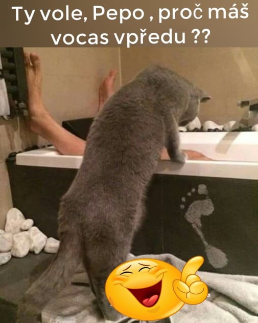 pepo