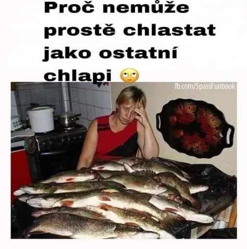 proč nemůže