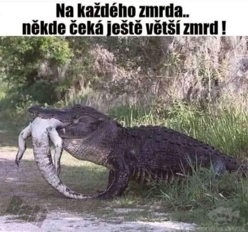 Jeden politický